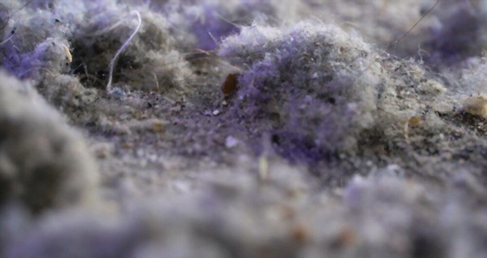 The pollution that the vacuum cleaner collects when cleaning an apartment or house causes dust mites allergy symptoms.