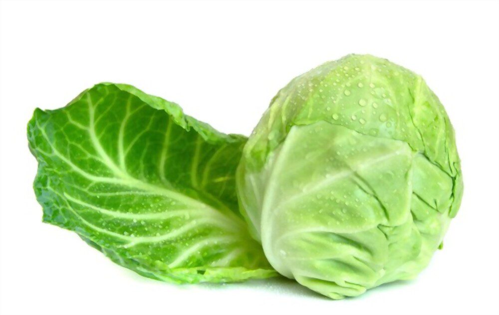 Cabbage with drops of water