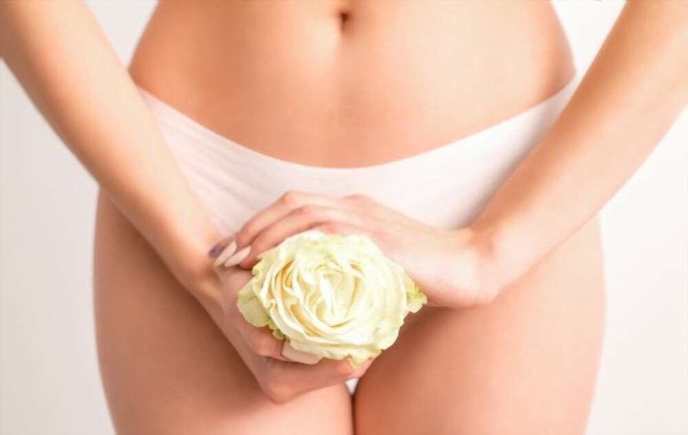 Vaginal rejuvenation cost - Young woman's hands holding a white flower covering epilate bikini