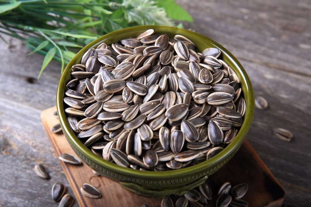 sunflower-seed-allergy-symptoms-causes-treatment-more