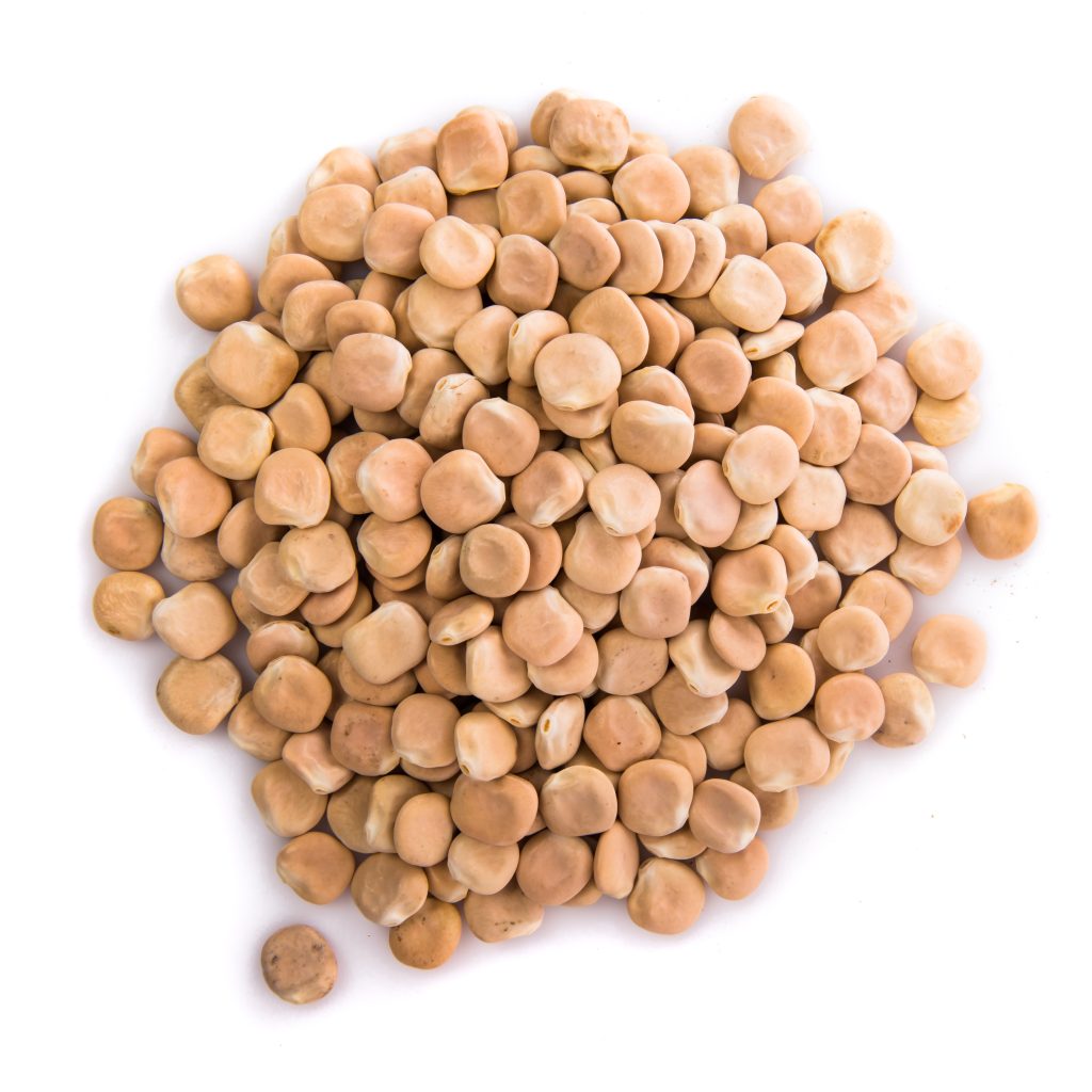 Lupin beans are isolated on white background, it causes lupin allergy in sensitive people.