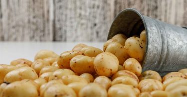Living with a potato allergy